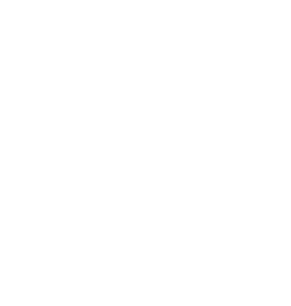 Fox Windows and Doors Logo