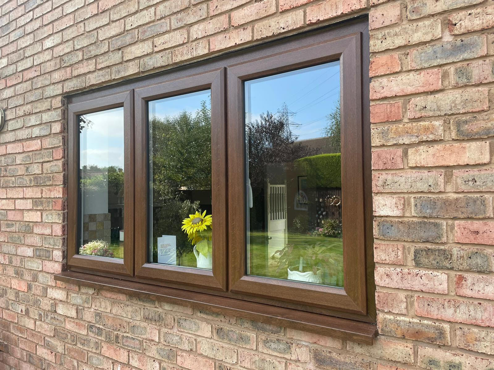 Brown window